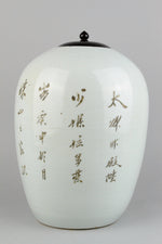 Republic Period Foo Dogs Ginger Jar