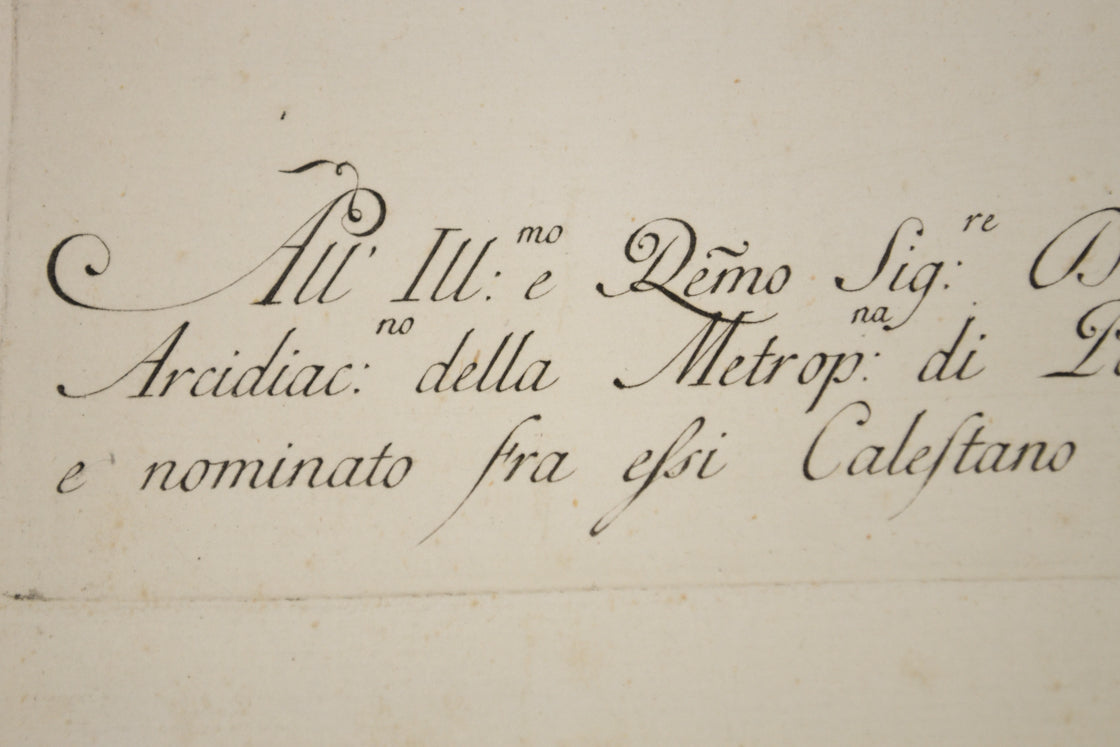 18th Century Italian Engraving - Treecreeper