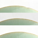 Cantonese Plate