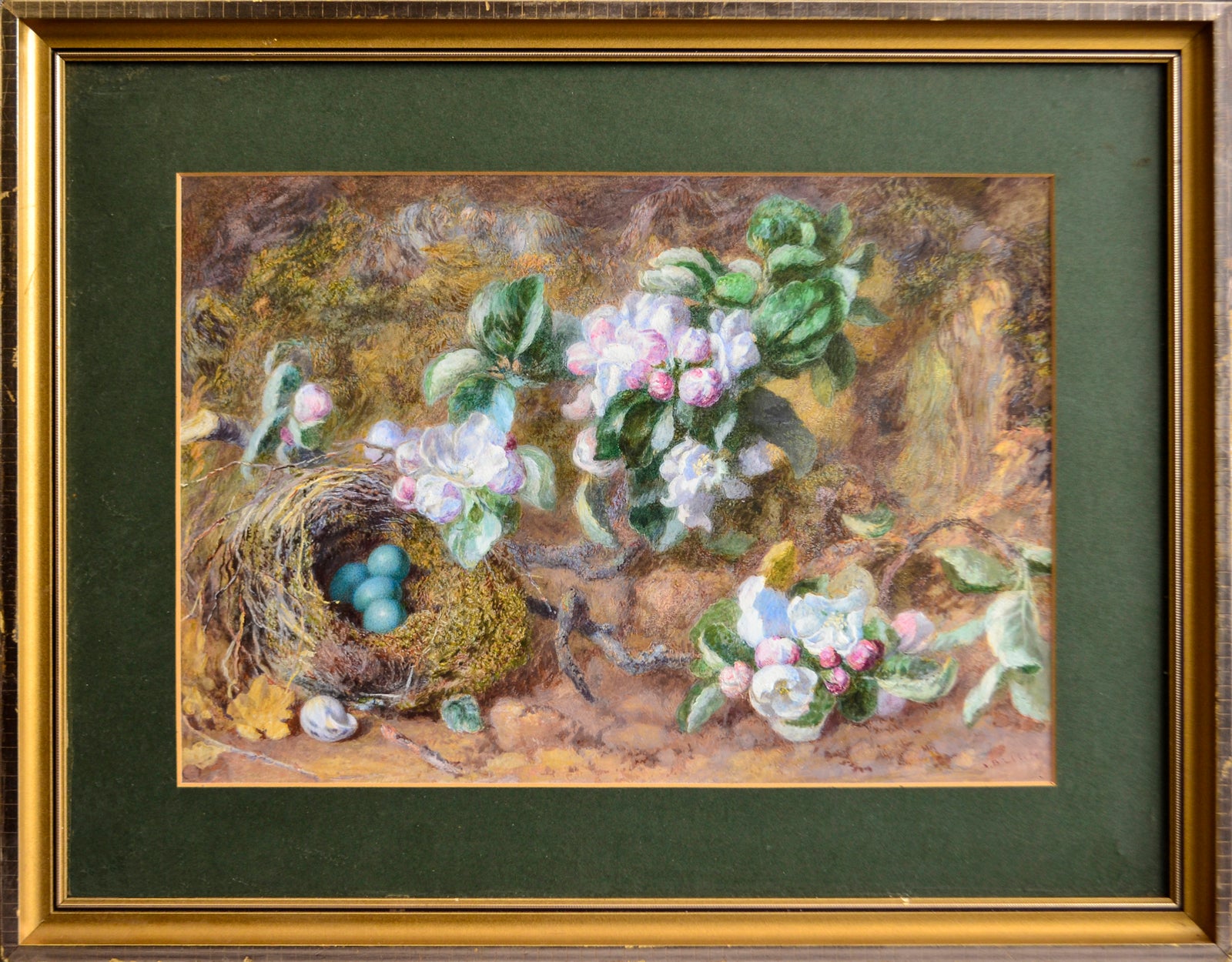 Still Life of Bird's Nest and Blossom by Jabez Bligh