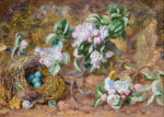 Still Life of Bird's Nest and Blossom by Jabez Bligh
