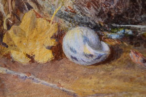 Still Life of Bird's Nest and Blossom by Jabez Bligh