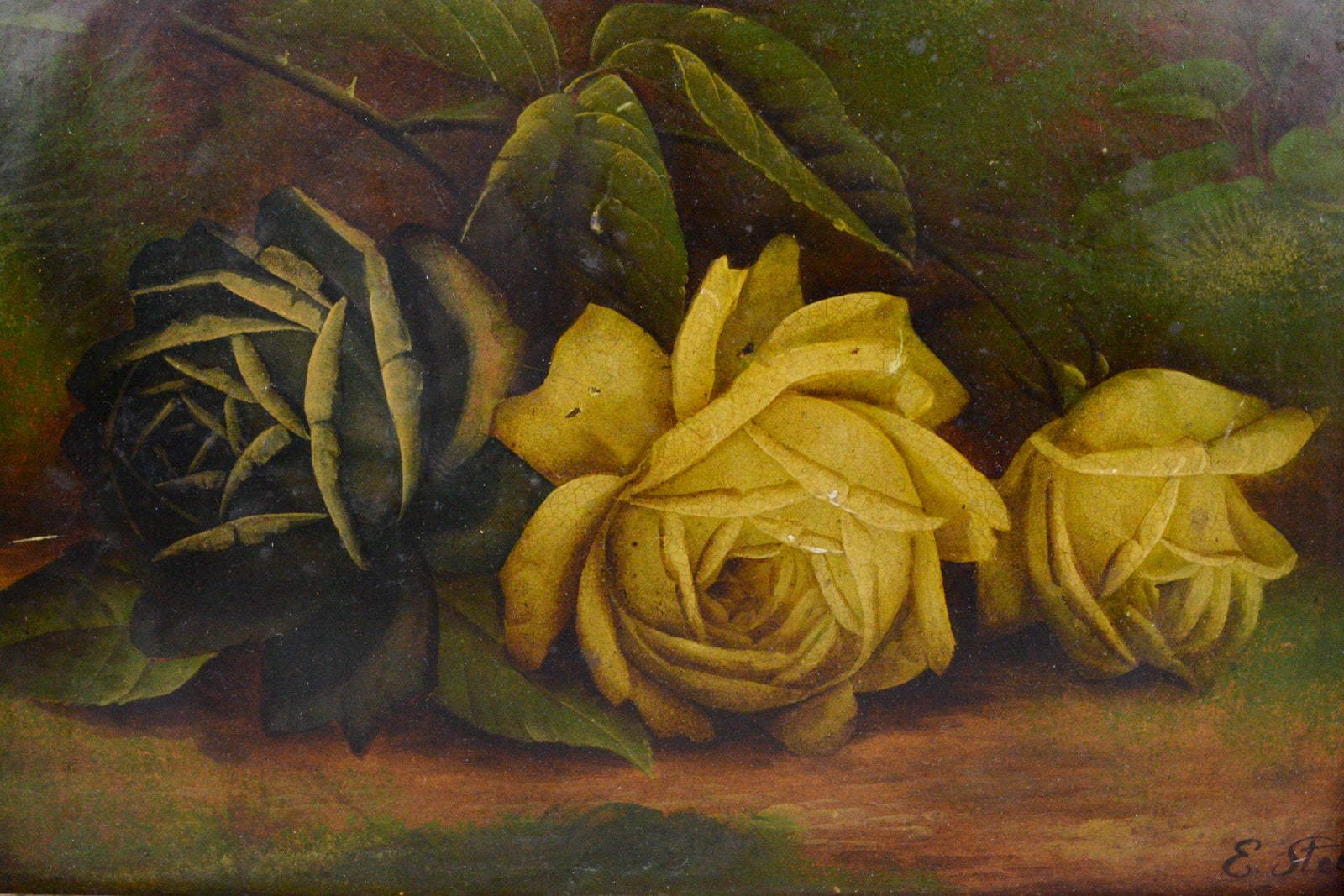 Still Lifes by Edwin Steele